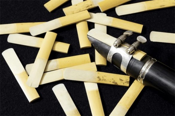A Comprehensive Guide to Clarinet Reeds - Musicalinstrumentworld.com